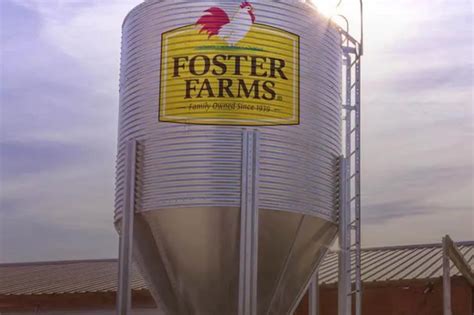 Foster Farms conducts more than 6,400 COVID-19 tests on employees ...