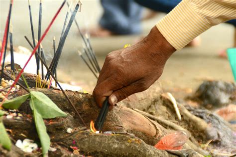 Nag Panchami 2017: Photos of Nag Panchami Rituals and Prayers in ...