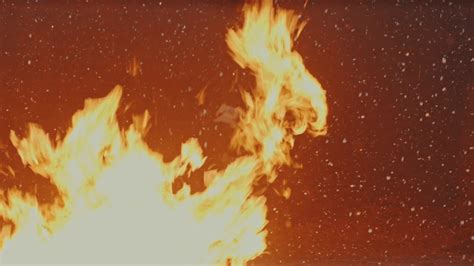 Fire flames on falling snowflakes. Fire background. Flames of fire on snow falling background ...