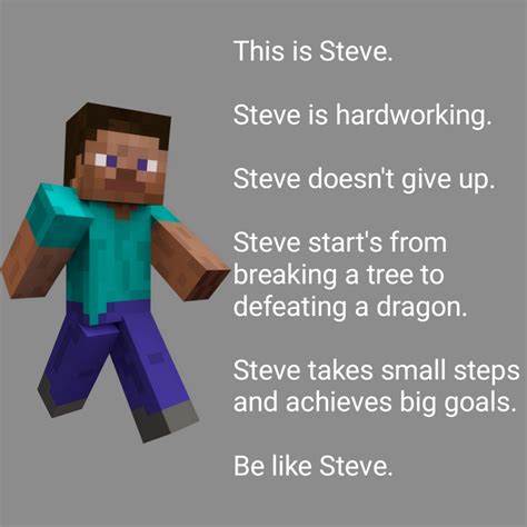 Be like Steve : r/MinecraftMemes