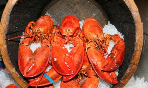 Bar Harbor Maine Seafood - AllTrips