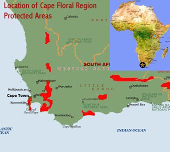 Cape Floral Region - South Africa | African World Heritage Sites