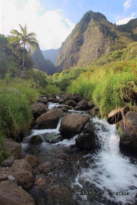 Capturing the Moment: Hiking Iao Valley: Beyond the Signs