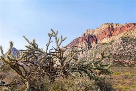 15 Best Red Rock Canyon Hiking Trails • Our Big Escape