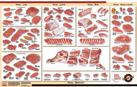 Primal, Sub-primal, and Secondary Cuts – Meat Cutting and Processing for Food Service