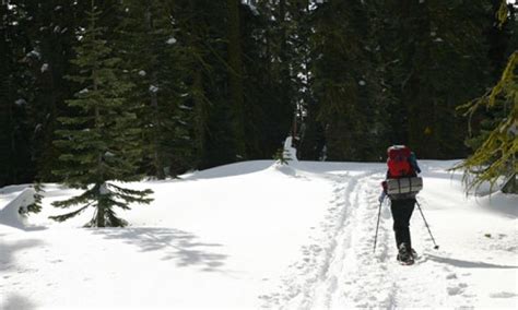 Yosemite Snowshoeing: Snowshoe Rentals & Tours - AllTrips