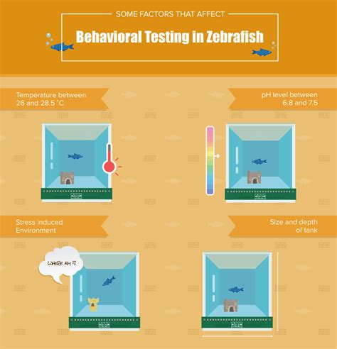 A Guide to Testing Zebrafish Behavior - Maze Engineers