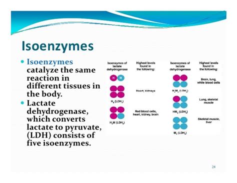 Enzymes