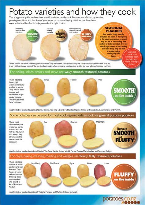 Potatoe-know-how-varieties-and-how-cook-potato-varieties-poster ...