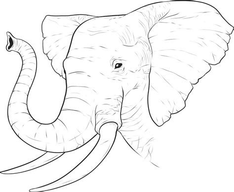 Elephant head and trunk coloring book to print and online