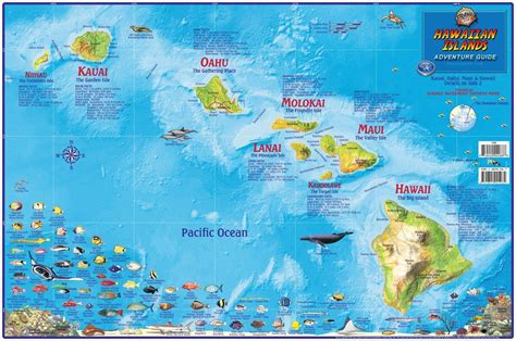 Hawaiian Islands Adventure Guide Map – Franko Maps