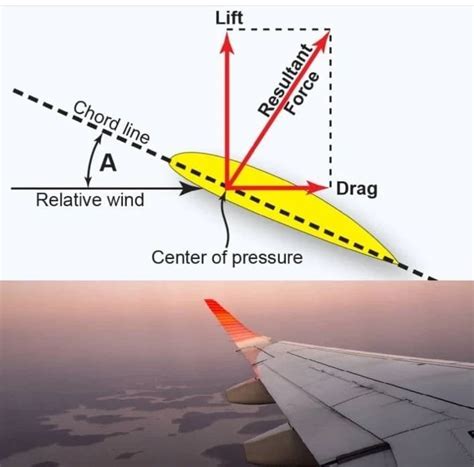 Sympathetic Vibratory Physics | center of pressure