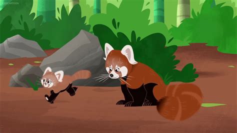 Wild Kratts Red Panda by Mdwyer5 on DeviantArt