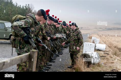 Soldiers from the Territorial Army training Stock Photo - Alamy