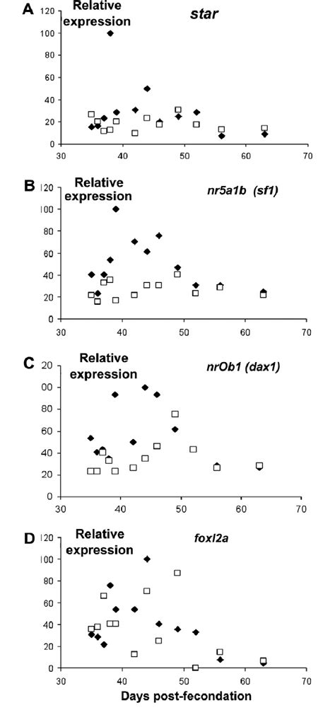 Relative expression of some genes markers of steroidogenesis regulation... | Download Scientific ...