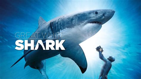 Great White Shark Official Trailer IMAX and Digital 3D - YouTube