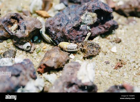 The tourist scenery of Zhanjiang special island Stock Photo - Alamy