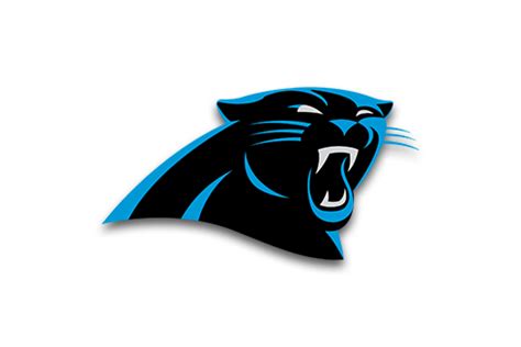 Panthers - GeorgianaFynn