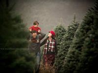 34 Christmas Tree Farm Photography ideas | christmas tree farm ...