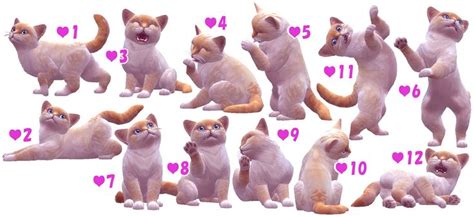 Cat & Kitten Pose | Sims 4 pets, Sims pets, Sims 4 studio