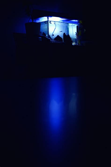 Aqua Blue | CZJ MC Flektogon f2.4/35mm | Hiroyuki Takeda | Flickr
