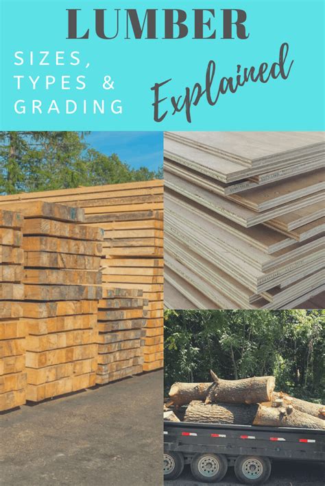 Lumber Sizes, Types, and Grading Explained - Saved by Scottie