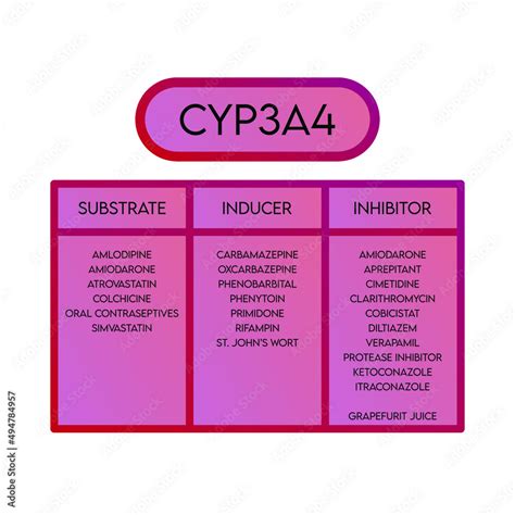 CYP3A4 Cytochrome p450 enzyme pharmaceutical substrates, inhibitors and ...