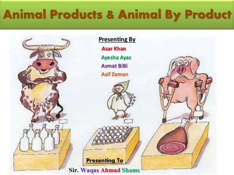 Animal products & animal by product