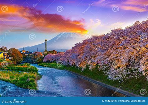 Sunrise at Mt. Fuji,spring and River with Cherry Blossoms in Japan Stock Image - Image of ...