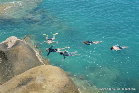 Snorkeling Fitzroy Island | Snorkeling the Great Barrier Reef, Australia