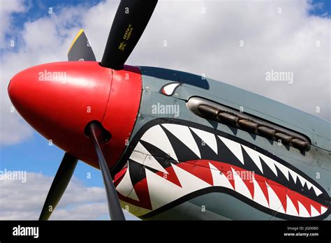 P-51 Mustang - Shark Mouth at Blackbushe 75 Festival of Flight Stock Photo - Alamy