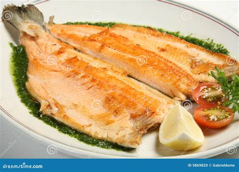 Grilled trout stock photo. Image of mediterranean, grilled - 5869820