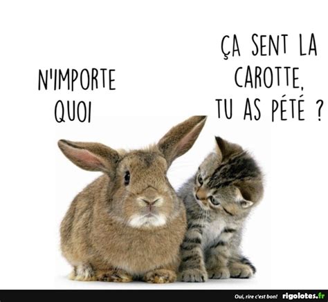 N'importe quoi... - Blagues et les meilleures images drôles!