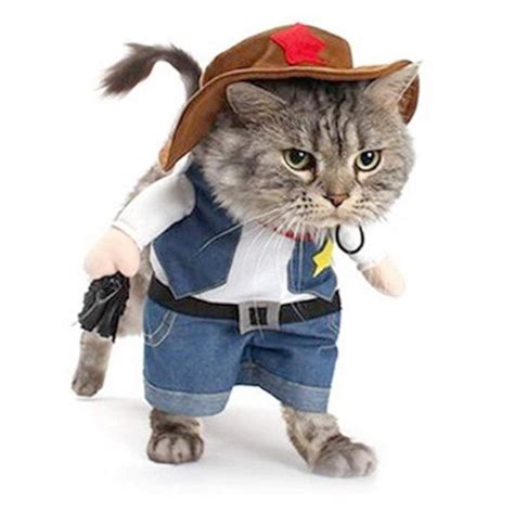 Cowboy Cat Costume | Best Cat Costumes For Halloween 2020 | POPSUGAR ...