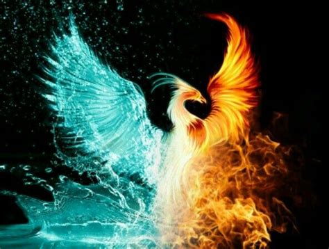 FIRE - WATER BIRD BEAUTIFUL COMBINATION | Phoenix bird art, Phoenix ...