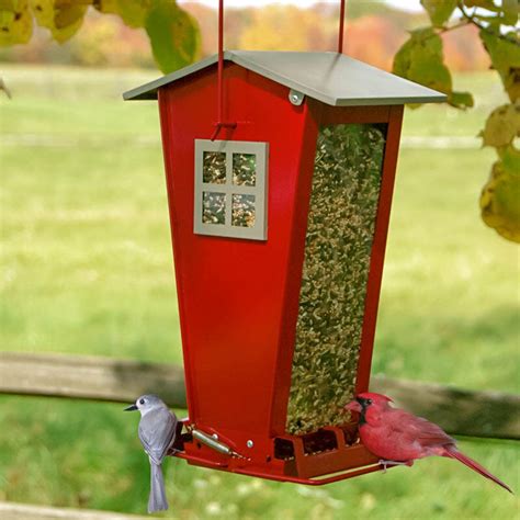 Green Squirrel-Proof Bird Feeder | Breck's