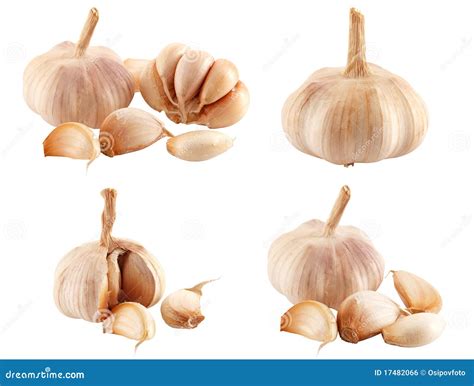 Clove garlic stock photo. Image of herb, garlic, nature - 17482066