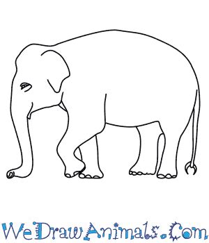 Elephant Drawing Pictures Easy - Deriding-Polyphemus