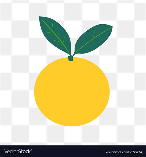 Orange fruit Royalty Free Vector Image - VectorStock