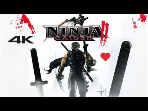 THE NINJA GAIDEN II EXPERIENCE : r/CharacterActionGames