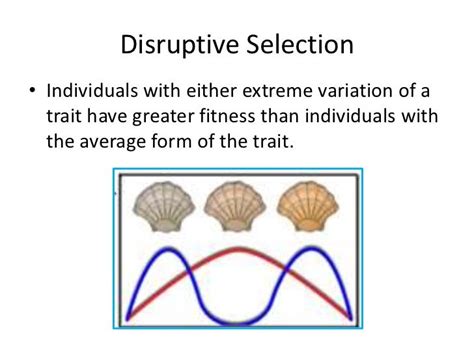 Disruptive Selection