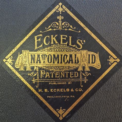 Eckels’ Anatomical Aid | Graphic Arts