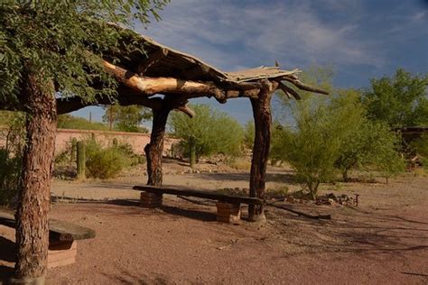 Mission Garden (Tucson) - 2020 All You Need to Know BEFORE You Go (with Photos) - Tripadvisor