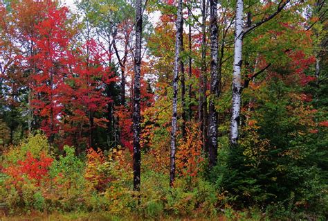 Vermont - 2015 Fall Foliage photos