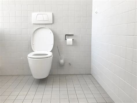 What’s The Difference Between A Lavatory And A Water Closet? (Find Out ...