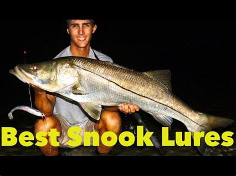 5 BEST Snook Fishing Lures YOU Need To Have!