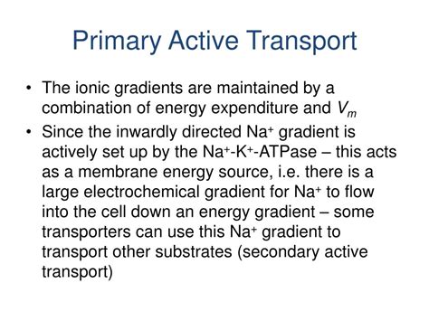 PPT - Primary Active Transport PowerPoint Presentation, free download - ID:2201574