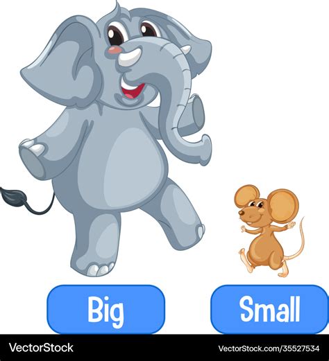 Opposite adjectives words with big and small Vector Image