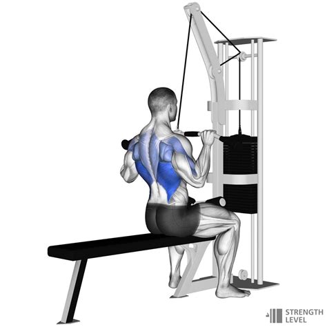 Lat Pulldown How To - Strength Level