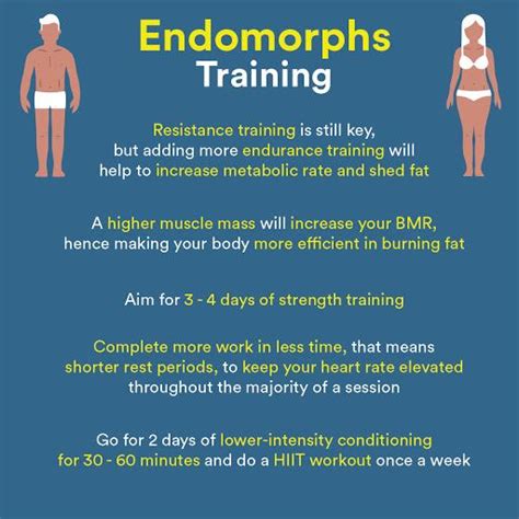 Endomorph Diet and Workout Plan